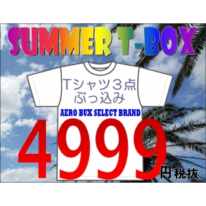 ≪メンズ 福袋≫2011 SUMMER T-BOX