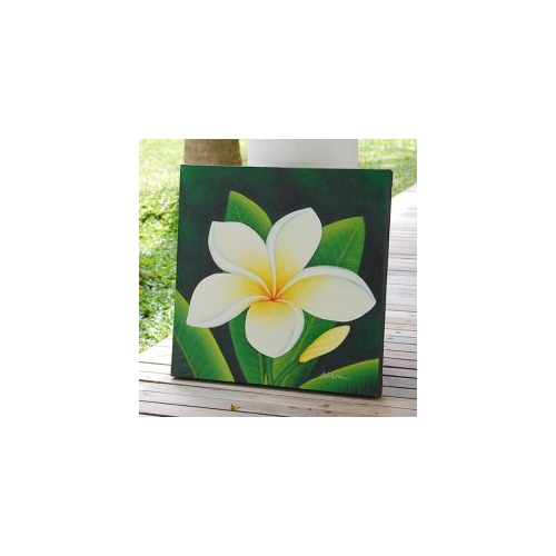 フランジパニの絵画(1 flowers)