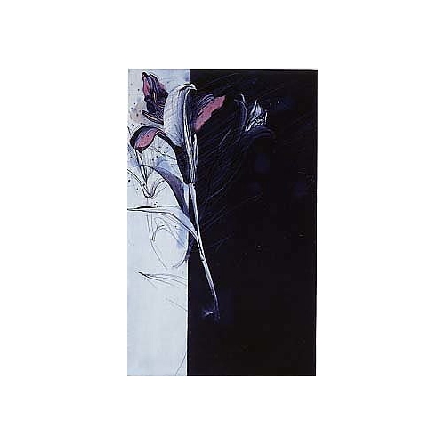 花が咲き誇っていますが・・・!!安藤 真司(あんどう しんじ) ANDO SHINJIの銅版画作品 題名:森の誘い1995-3(もりのさそい) 専用額付き(簡易化粧箱入り)