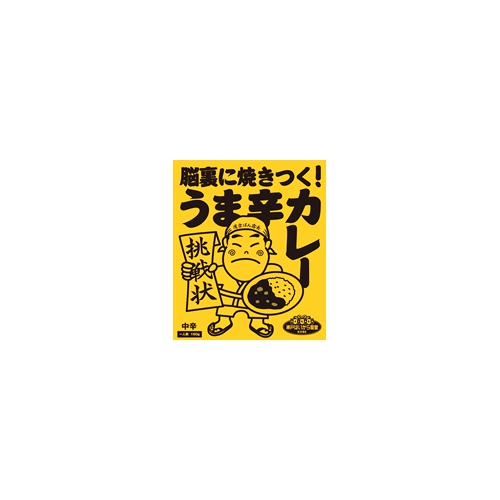 神戸はいから食品本舗 脳裏に焼きつく!うま辛カレー 200g×10個(化粧箱なし)