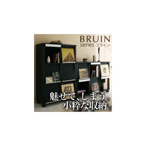 ただ収納するだけではつまらない。簡単に魅せる収納ができてしまうラック【Bruin】ブラインシリーズ