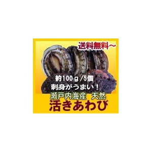 瀬戸内産 天然アワビ980円～ 【送料無料】