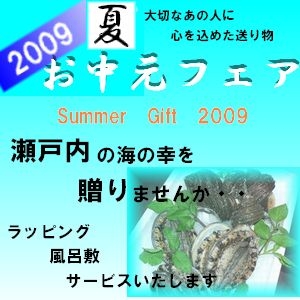 お中元フェアー 【送料無料】