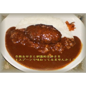 城下ハンバーグカレー