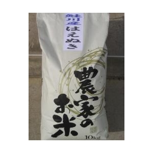 鮭川産はえぬき(10kg)