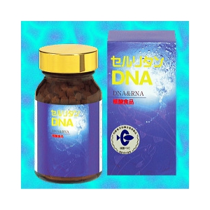 セルリタンDNA