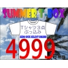 ≪メンズ 福袋≫2011 SUMMER T-BOX