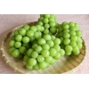 【晩夏期限定】 入荷!!ひろしま産の美味しい葡萄(ぶどう)!広島生まれの広島育ち広島産 シャインマスカット(しゃいんますかっと) 2キロ(赤秀4房入り簡易化粧箱)