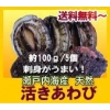 瀬戸内産 天然アワビ980円～ 【送料無料】