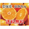 【送料無料】 人気の小みかん!/愛媛産/5kg(SS～3Sサイズ)