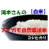 【送料無料】/新米/アイガモ自然農法米(白米) コシヒカリ 5kg