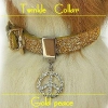 犬 首輪【Twinkle collar key to my heart】