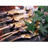 天然奥久慈鮎塩焼き(中・10尾)