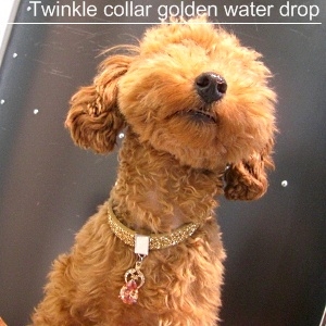 犬 首輪【Twinkle collar-Golden water drop】