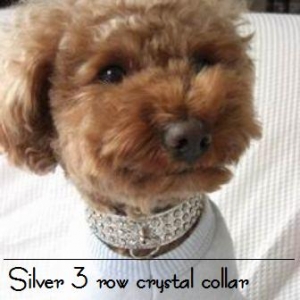 犬 首輪【Silver 3 row crystal 首輪】