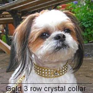 犬 首輪【Gold 3 row crystal 首輪】