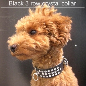 犬 首輪【Black 3 row crystal 首輪】